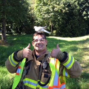 Meet your Posher, Mike